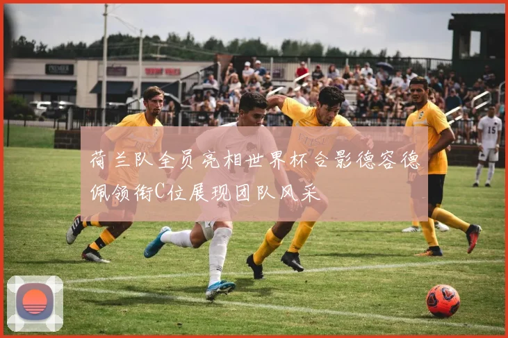 荷兰队全员亮相世界杯合影德容德佩领衔C位展现团队风采